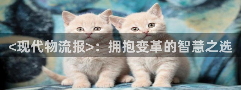 多多28二维码：<现代物流报>：拥抱