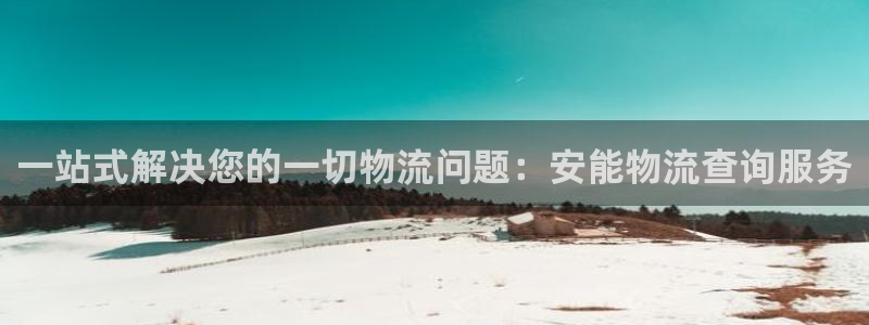 多多28黑钱：一站式解决您的一切物流