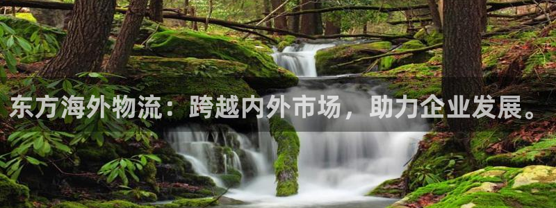 多多28充值不处理怎么办：东方海外物
