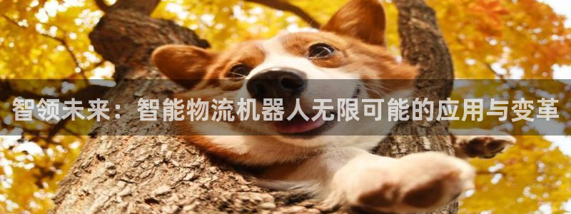 多多28官网链接：智领未来：智能物流