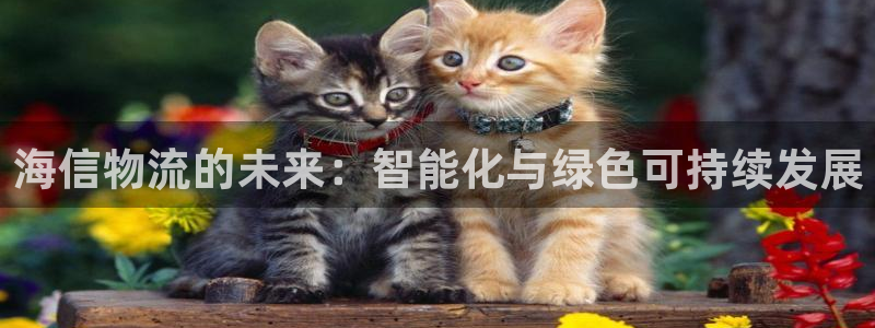 多多28官网多少:海信物流的未来:智