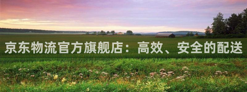 多多28预测网：京东物流官方旗舰店：