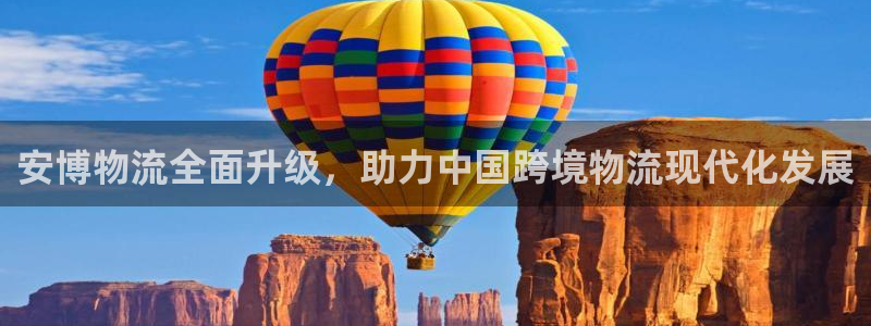 多多28官方官网：安博物流全面升级，