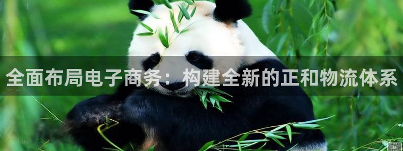 多多28自行车图片：全面布局电子商务：构建全新的正和物流体系