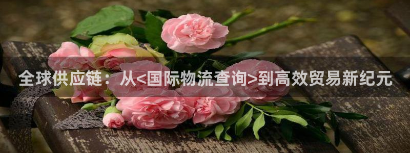 多多28娱乐官网网页：全球供应链：从<国际物流查询>到高效贸