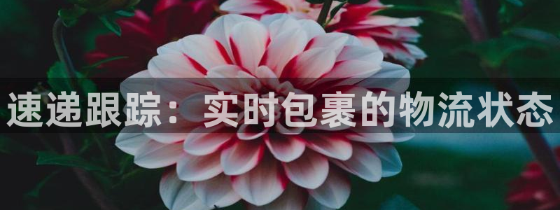 多多28官网下载链接是什么：速递跟踪