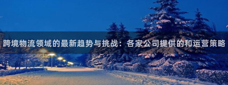 多多28官网下载链接：跨境物流领域的