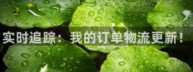 多多28麻将胡了在线试玩:实时追踪: