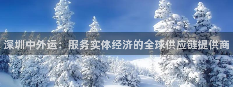 多多28游戏链接：深圳中外运：服务实