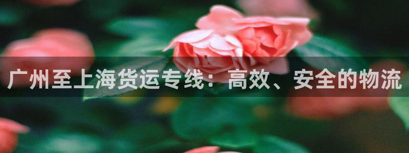 多多28官网入口pc正版