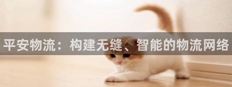 多多28黑吗：平安物流：构建无缝、智