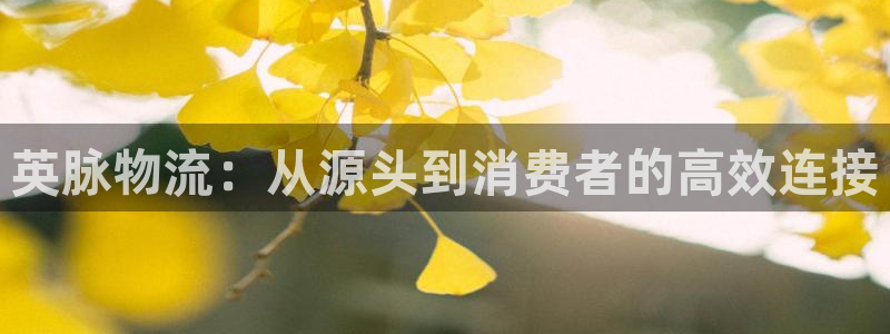 多多28官方版网站：英脉物流：从源头