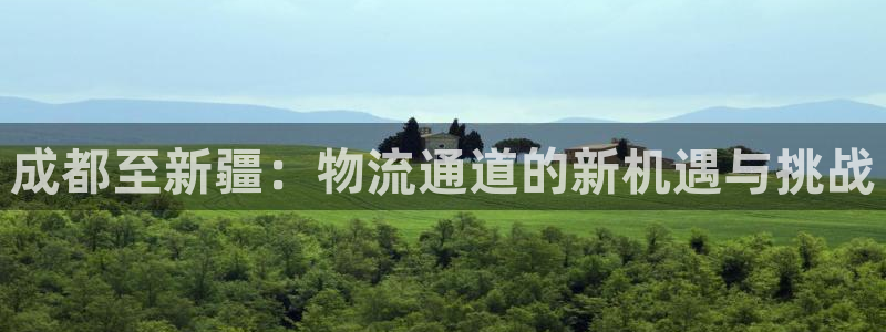 多多28圈助手：成都至新疆：物流通道