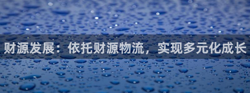 多多28登录网：财源发展：依托财源物流，实现多元化成长