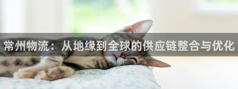 多多28:常州物流:从地缘到全球的供