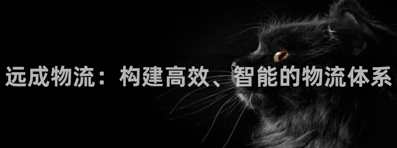多多28预测：远成物流：构建高效、智