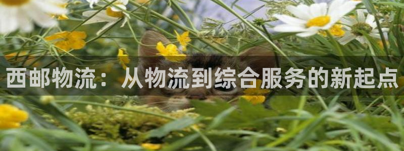 多多28初始密码在哪里修改的：西邮物