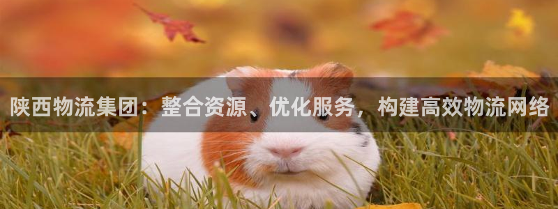 多多28充值不处理：陕西物流集团：整